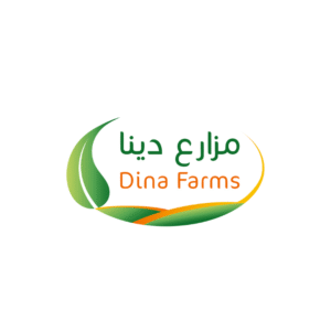 تصميم بدون عنوان (61)